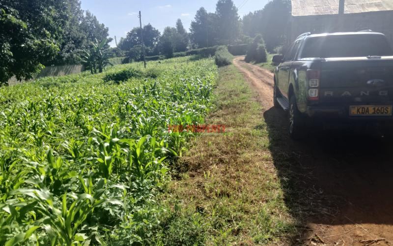 Prime 50x100 Sq Ft Plot For Sale In Kikuyu Gikambura