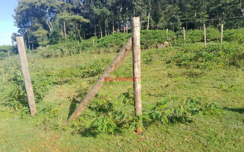 Prime 80x100sq Ft Plot For Sale In Kikuyu Gikambura