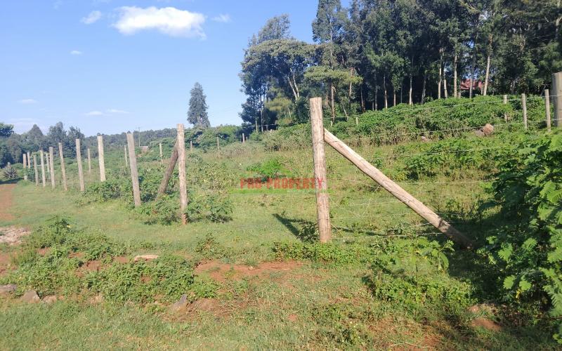 Prime 80x100sq Ft Plot For Sale In Kikuyu Gikambura