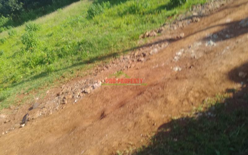 Prime 100x100 Sq Ft Plot For Sale In A Gated Community In Gikambura