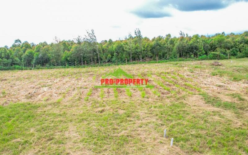 Prime 50 By 100 Plots For Sale In Kikuyu Nguirubi In A Gated Community
