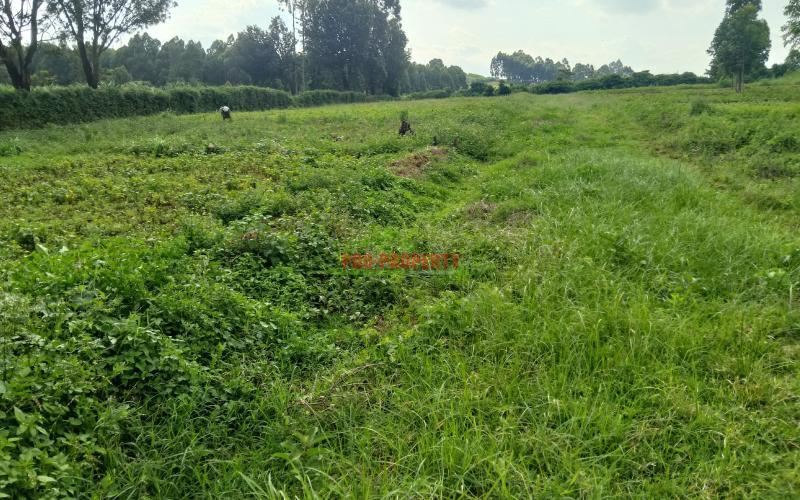 Prime 50 By 100 Plots For Sale In Kikuyu Ondiri