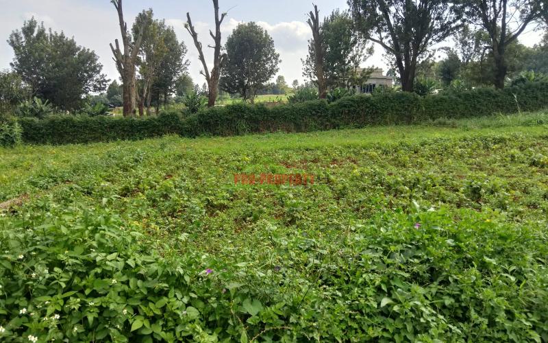 Prime 50 By 100 Plots For Sale In Kikuyu Ondiri
