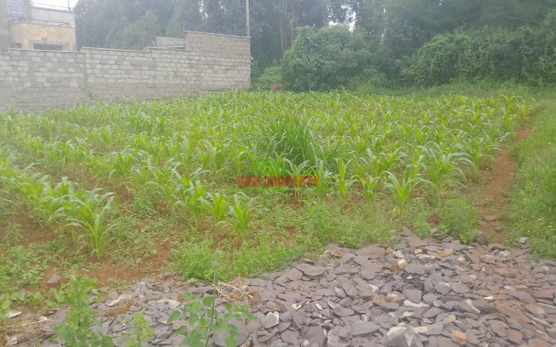 Prime 50 By 100 Sq Ft Plot In Kikuyu Gikambura