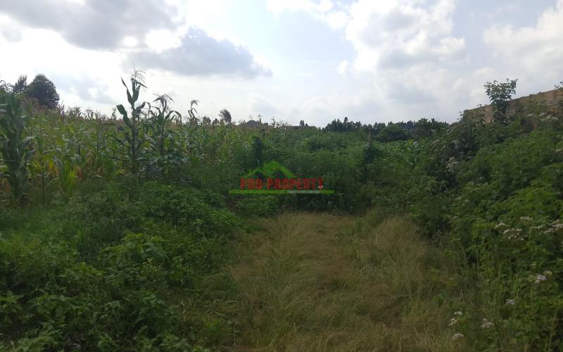 Prime 50 By 100 Plot For Sale In Kamangu Kikuyu