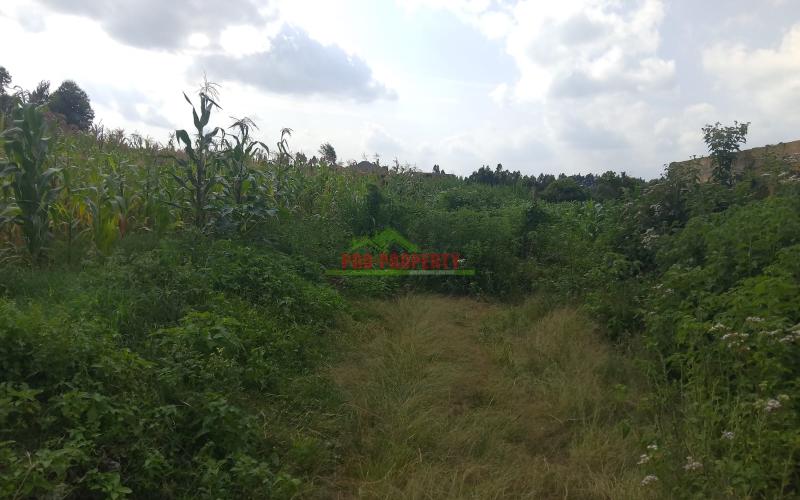 Prime 50 By 100 Plot For Sale In Kamangu Kikuyu