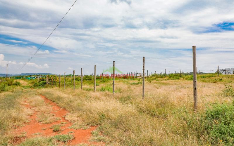 Prime Affordable  50 By 100sq Ft   Plots For Sale In Kikuyu Nachu