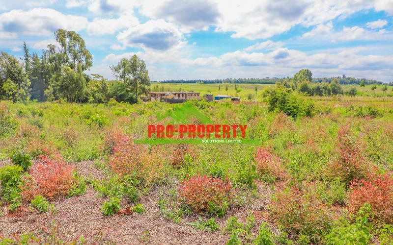 Prime 50 By 100fts Residential Plots For Sale In Kikuyu Ondiri