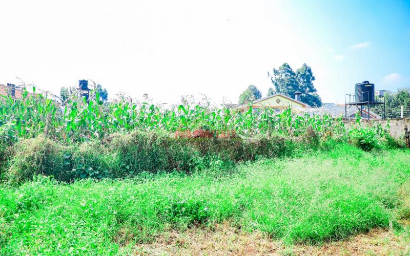 Prime Commercial 100 By 100 Ft Pots For Sale In Sigona Nderi