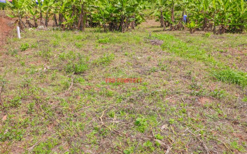 Prime 50 By 100 Sq Ft Plots For Sale In Kikuyu Lusingetti (rosegate)