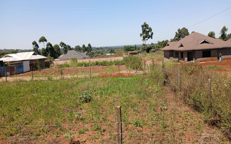 Prime Affordable 50 By 100 Fts  In Kikuyu Lusigetti