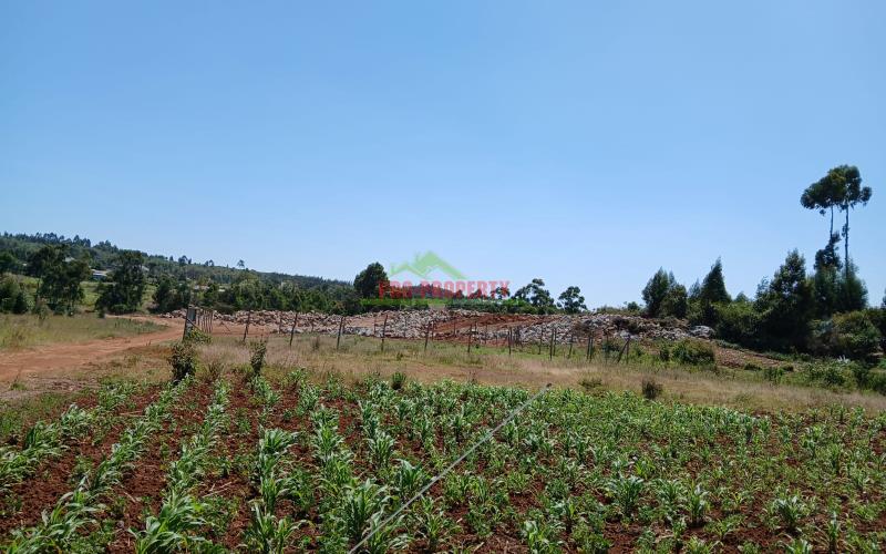 Prime Affordable 50 By 100 Fts  In Kikuyu Lusigetti