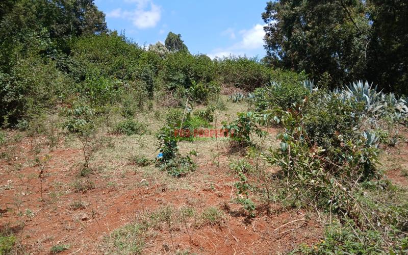 Prime Residential 50 X 100 Fts Plot For Sale In Kikuyu Mai-ii-ihii