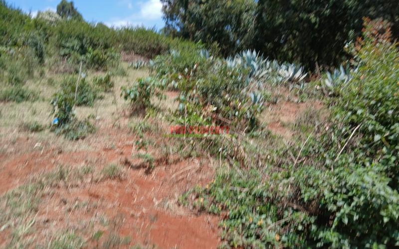 Prime Residential 50 X 100 Fts Plot For Sale In Kikuyu Mai-ii-ihii