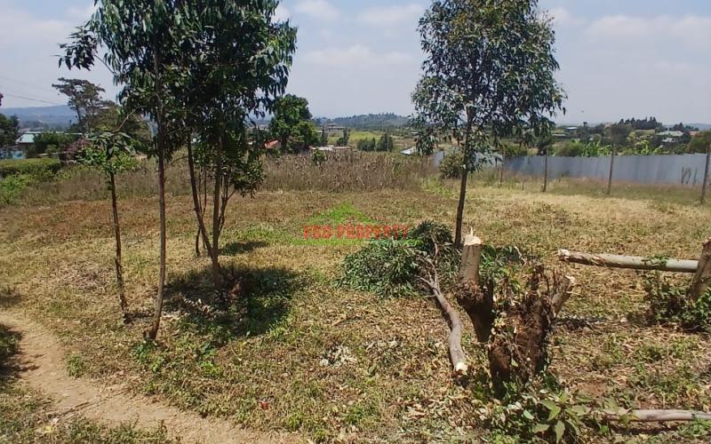 Prime 50 By 100 Ft Plot For Sale  In Kikuyu Kamangu
