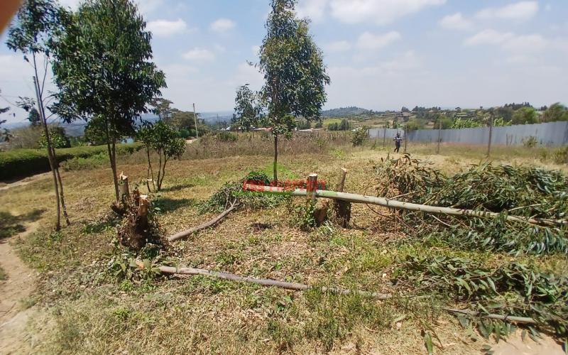 Prime 50 By 100 Ft Plot For Sale  In Kikuyu Kamangu