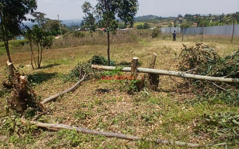 Prime 50 By 100 Ft Plot For Sale  In Kikuyu Kamangu