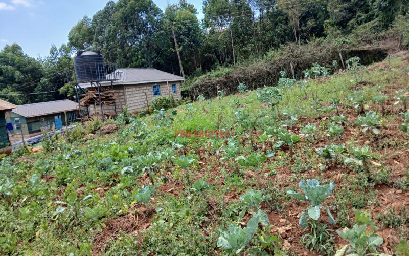 Prime 50 By 100 Ft Plot For Sale In Kikuyu Migumoini