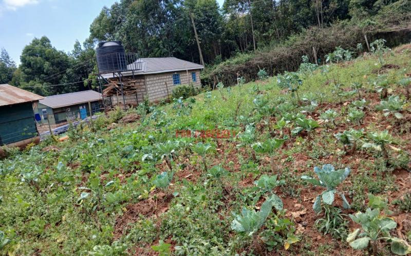 Prime 50 By 100 Ft Plot For Sale In Kikuyu Migumoini
