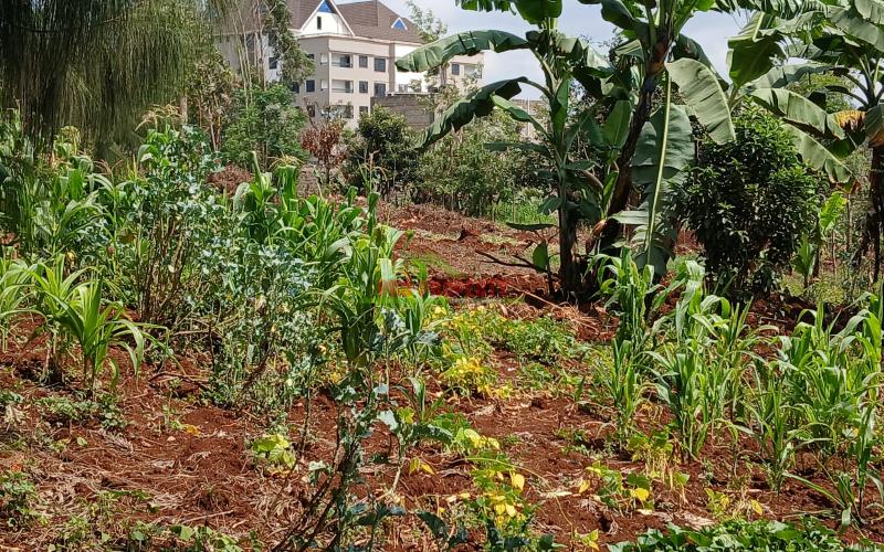 Prime Commercial Plot for Sale in Kikuyu Gitaru