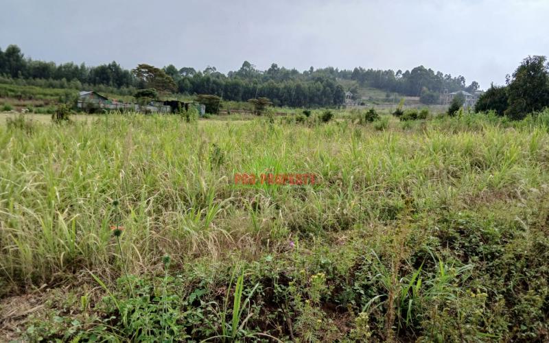 Own A Plot With Ready Freehold Title Deeds In Kikuyu