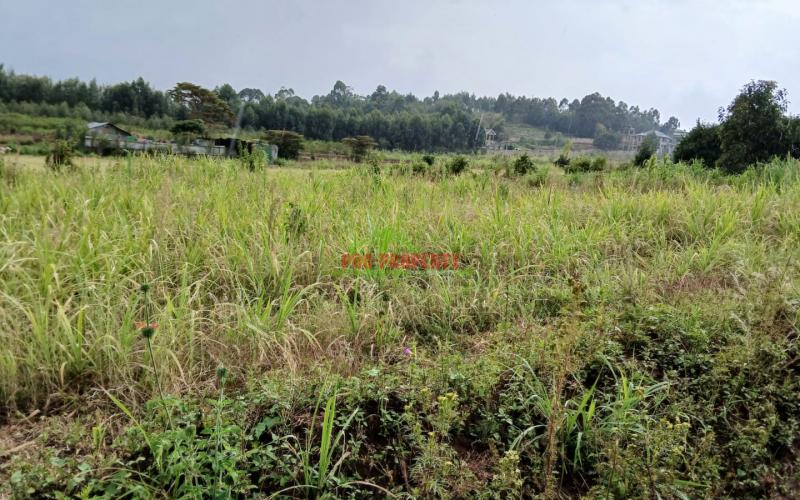 Own A Plot With Ready Freehold Title Deeds In Kikuyu