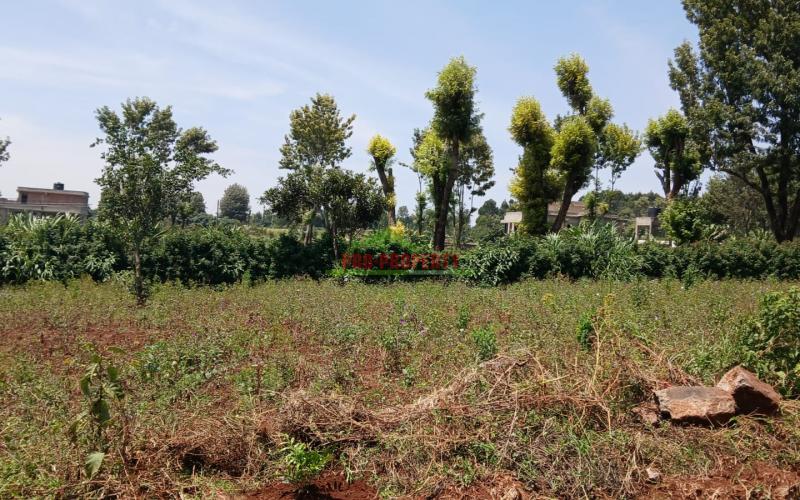 Ready To Build Plots For Sale With Ready Freehold Title Deeds In Kikuyu