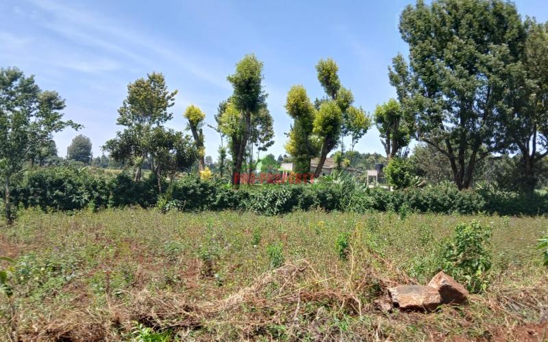 READY TO BUILD PLOTS FOR SALE WITH READY FREEHOLD TITLE DEEDS IN KIKUYU