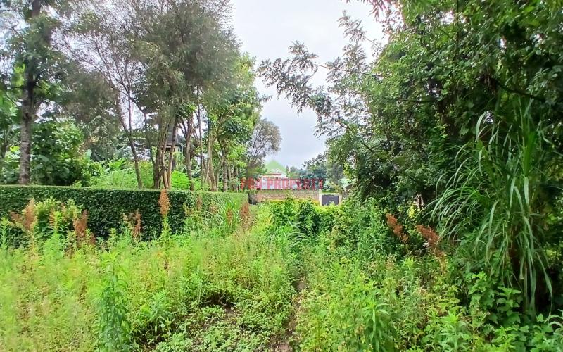 Discover Prime Commercial Properties For Sale In Kikuyu