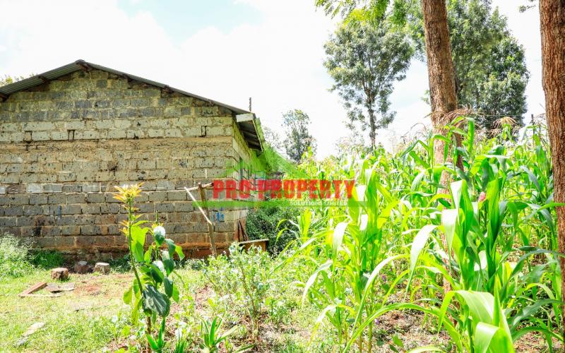 Prime Plot For Sale In Ruaka Muchatha.