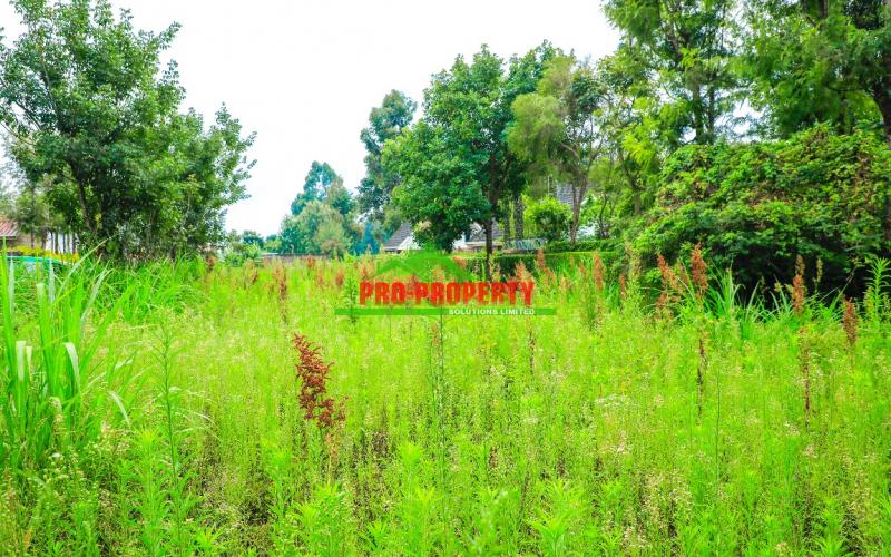 Prime Commercial Or Residential 50 By 100fts Plot For Sale In Kikuyu, Gikambura