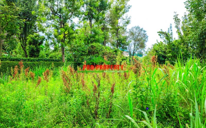 Prime Commercial Or Residential 50 By 100fts Plot For Sale In Kikuyu, Gikambura