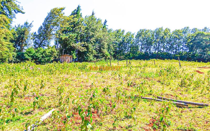 Prime 50 X 100 Fts Plots For Sale In Ondiri, Kikuyu – Near Leillani Gardens