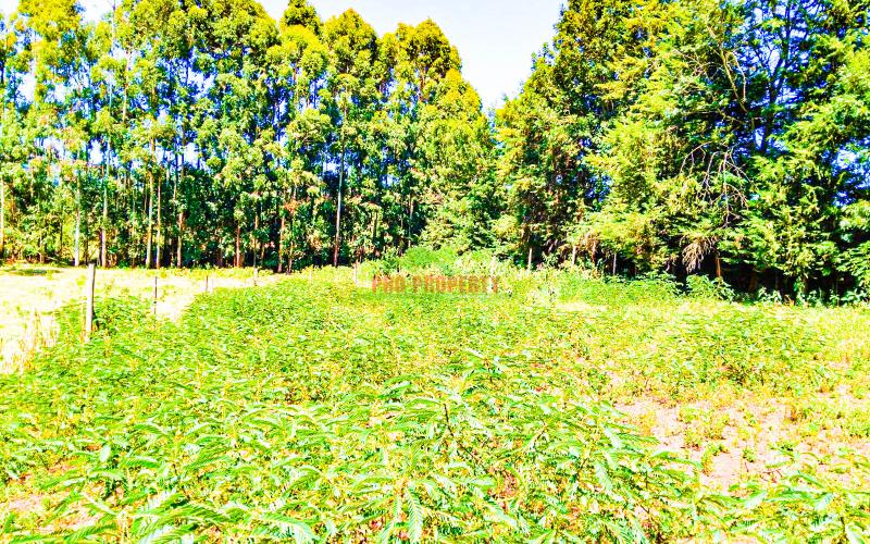 Prime 50 X 100 Fts Plots For Sale In Ondiri, Kikuyu – Near Leillani Gardens