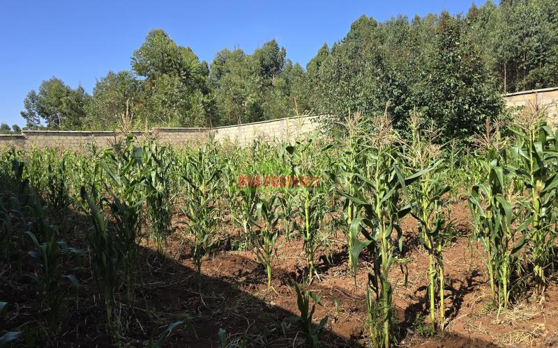 Residential Plots For Sale  (ready To Build And Ready Tittle Deeds)