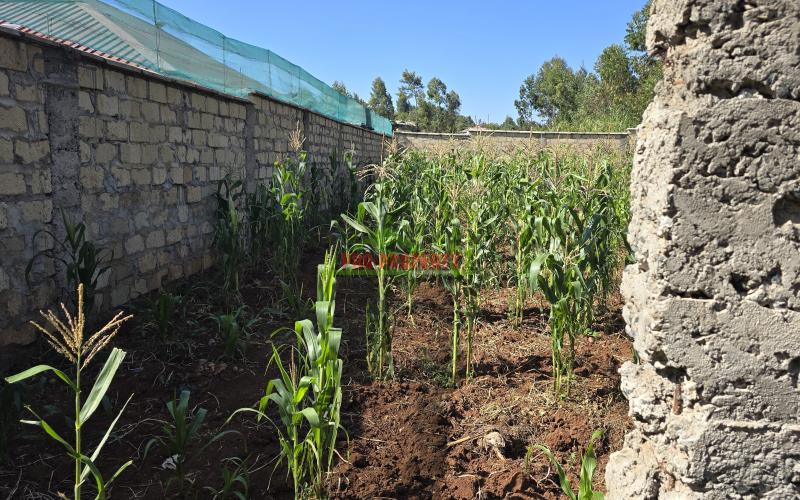 Residential Plots For Sale  (ready To Build And Ready Tittle Deeds)