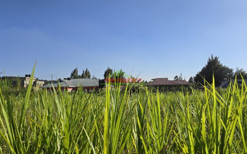 Prime100x100ft Residential Plot For Sale In A Secure Gated Community – Just 400m From Tarmac