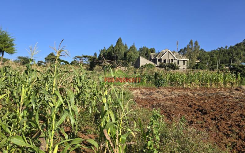 Prime Land For Sale In Gated Community Near Nairobi - Affordable & Accessible