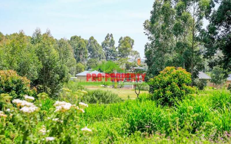 Prime Residential Plots For Sale Kikuyu-lisigetti