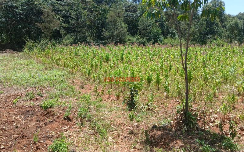 Prime 50 By 100ft Plot For Sale In Kikuyu,ondiri