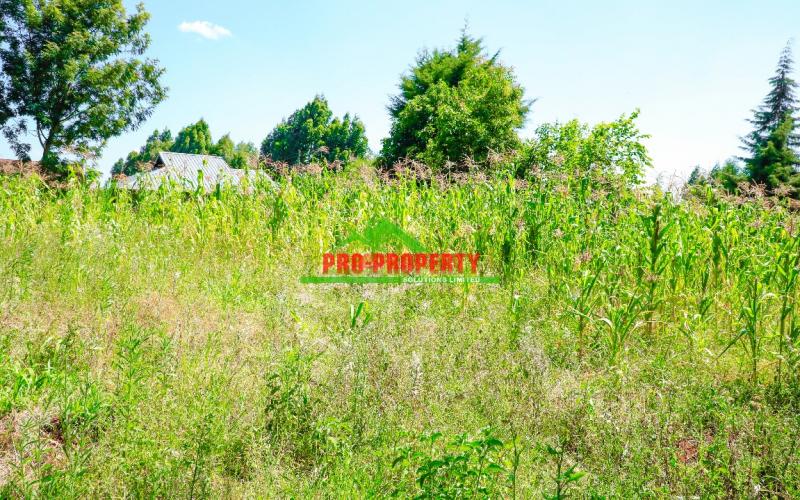 🏡 Prime 50x100ft Residential Plot For Sale In A Secure Gated Community – Just 400m From Tarmac In Ondiri Kikuyu! 🌿