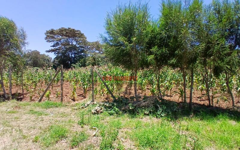 Prime 100 by 100ft Residential plot for sale in Kikuyu,Kamangu near Pleasant Academy