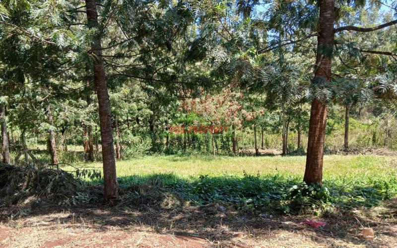 Ready To Build  1/2  Acre Plot For Sale In Kikuyu,kidfarmaco