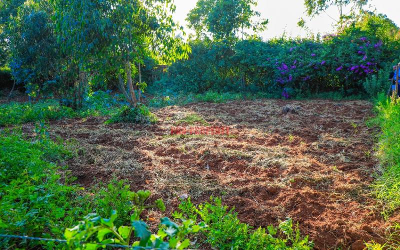 Prime Residential Plot For Sale In Kikuyu, Gikambura