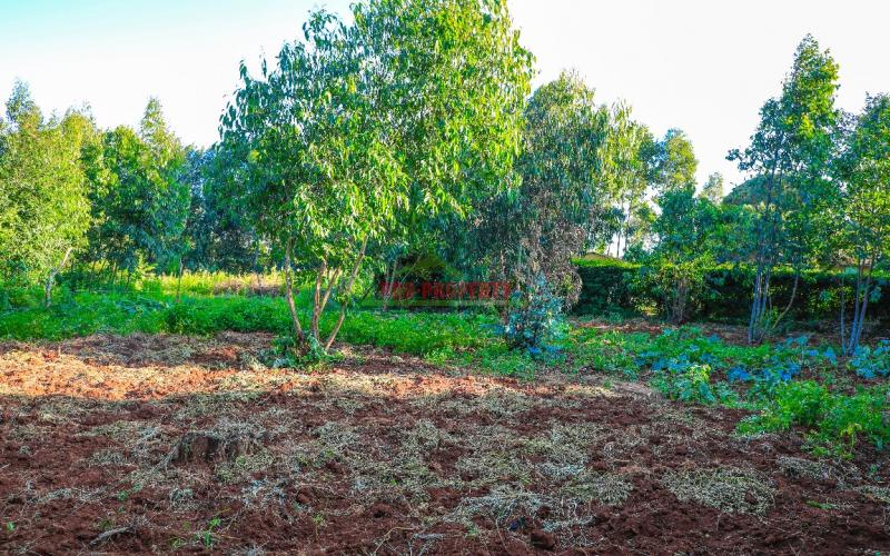 Prime Residential Plot for Sale in Kikuyu, Gikambura