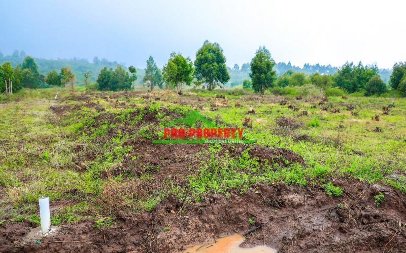 Ready To Build  Commercial Plots For Sale In Kikuyu ,nachu