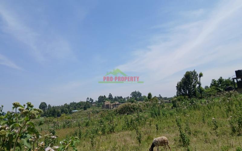 Prime  50 By 100ft Plot For Sale In Kikuyu,kamangu