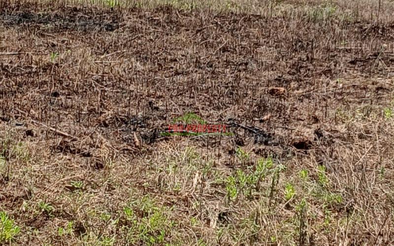 Prime 50 By 100ft Plots For Sale In A Gated Community Concept In Kikuyu,ndiguini Area