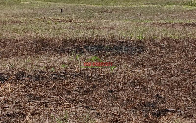 Prime 50 By 100ft Plots For Sale In A Gated Community Concept In Kikuyu,ndiguini Area