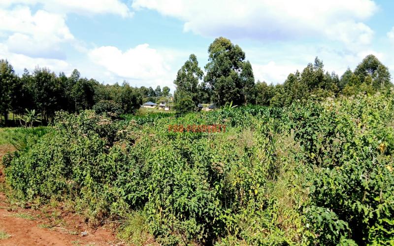 Prime Residential Plots For Sale In Kikuyu-ng'amba Area